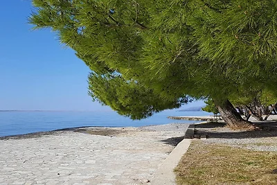 Mobilheim im Camp Paklenica, Starigrad, am...