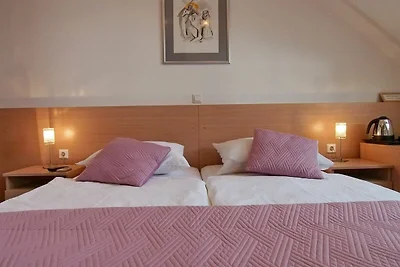 Apartment & Rooms Ivušić - Double Room wi...