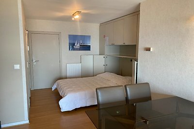 Appartement in Nieuwpoort met zeezicht