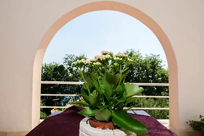 Villa Barbara - Comfort Studio with Terrace a...