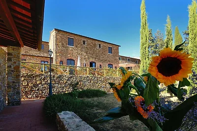 Wohnung in Campiglia Marittima