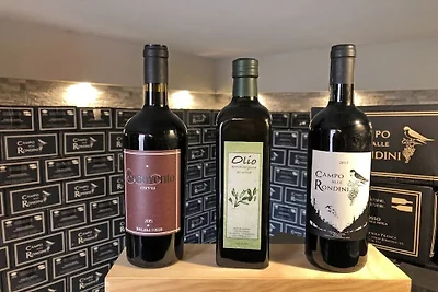 Villa Casa Ulivino
