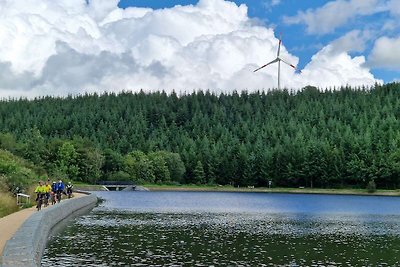 Schönes Ferienhaus in Auw in Seenähe