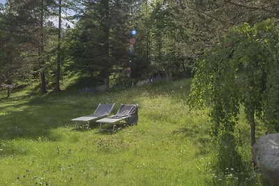 3-Raum Appartement TIROL im Haus Wildsee