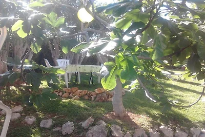 Erholung im Garten und am Strand