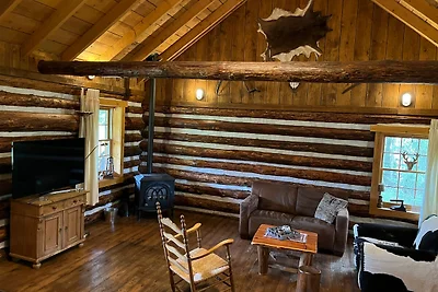 Amerikaanse cabin ligt in het Overijsselse...