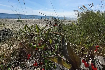 8 Personen Ferienhaus in Dannemare-By Traum