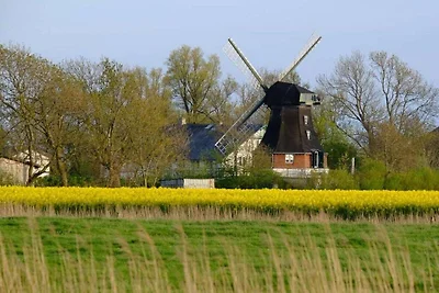 Ferienhaus Mühle Catharina