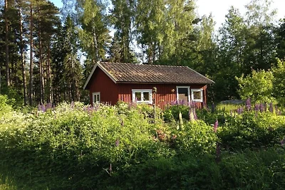 Ahornfarm Håkannäs