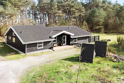 4 Sterne Ferienhaus in Sæby