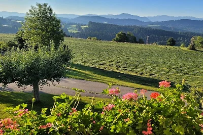 Ferienhaus in Weitnau mit Schwimmbecken