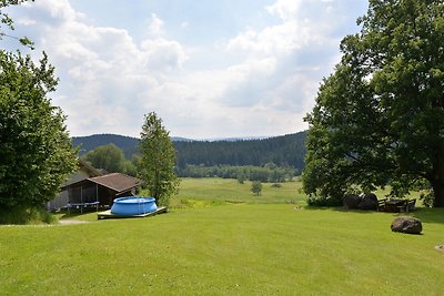 Ferienhaus mit Sauna in Skigebietsnähe