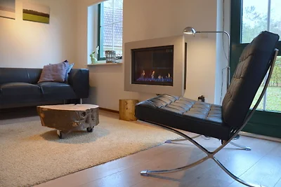 Ferienhaus in Heeten mit Garten