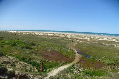 6 Personen Ferienhaus in Bindslev-By Traum