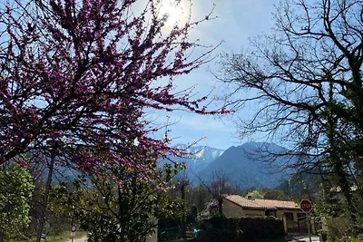 T3 nel residence Les Balcons du Canigou
