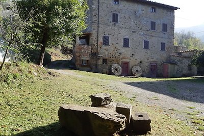 Casa vacanze rustica a Castigli sul Fiorentin...