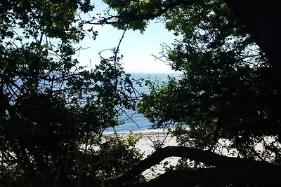 Ruhiger Strandurlaub - Von Traum