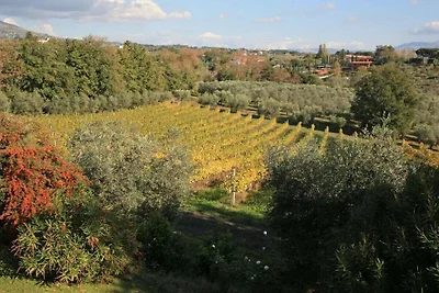 Glicine - Vigna Luisa Resort