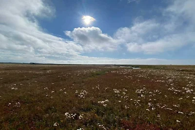 5 Personen Ferienhaus in Læsø
