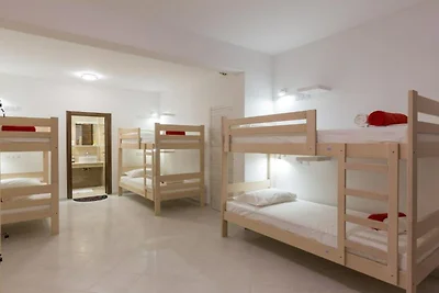 Hostel Free Bird - Bed in Ten Bed Mixed Dormi...