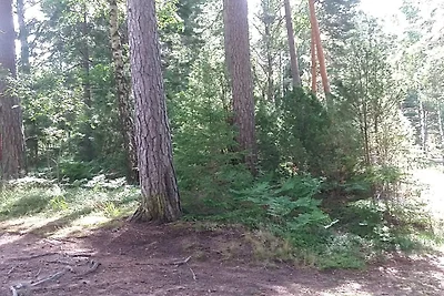 6 persoons vakantie huis in SÄFFLE-By Traum