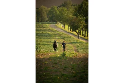Designerappartement in Großharthau