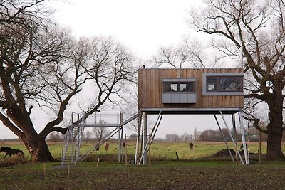 Ferienhaus mit 1 Schlafzimmer