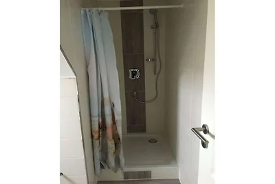 Darss vakantie met en zonder hond