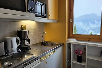 Zweizimmerwohnung in Pistennähe