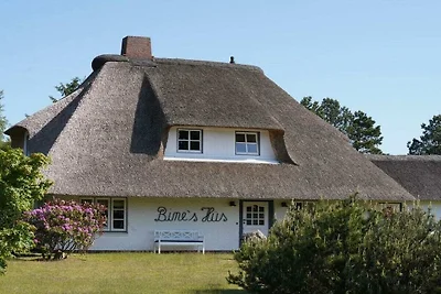 Ferienhaus mit 3 Schlafzimmer
