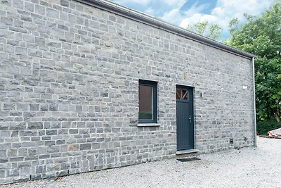 Villa in Durbuy nahe Wald und Fluss