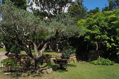 Charmantes Ferienhaus mit privatem Garten,...