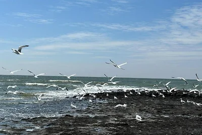 3-Personen-Apartment in Waldnähe