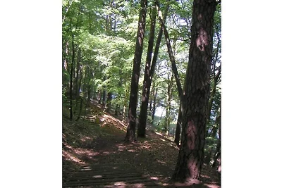 Parco forestale a Roofensee