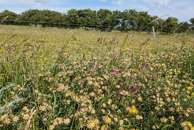 6 Personen Ferienhaus in Humble-By Traum