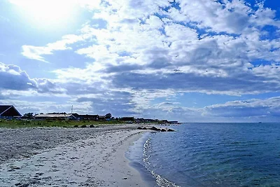 9 Personen Ferienhaus in Otterup-By Traum