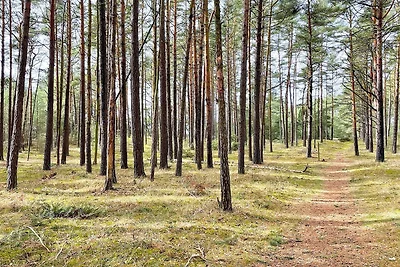 4 Sterne Ferienhaus in YNGSJÖ-By Traum