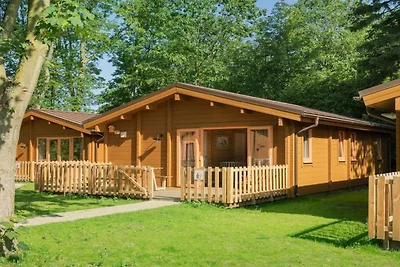 Einfamilienhaus in Hoogerheide mit Laufstall