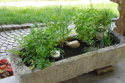 Czas dla rodziny – gospodarstwo agroturystycz...