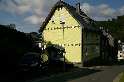 Schönes Ferienhaus in Steinach mit Terrasse