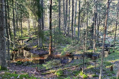 6 Personen Ferienhaus in ÅSBRO-By Traum