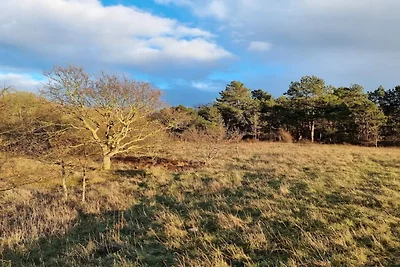 4 Personen Ferienhaus in Martofte