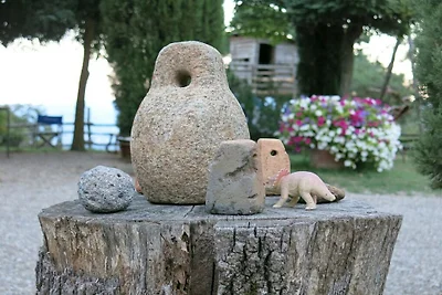 Pomantello-Juliet