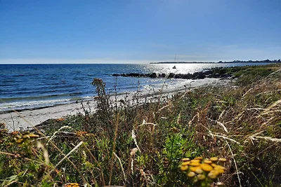 5 Personen Ferienhaus in Rude-By Traum