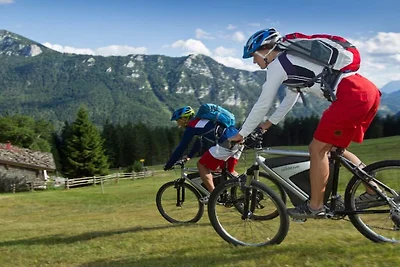 Stoißeralm bij gastenverblijf Fegg