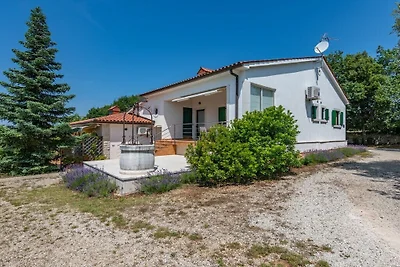 Villa Olive Ranch
