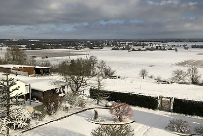 Uilennest in het huis met zeezicht