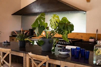 Charmante provenzalische Villa in Noves