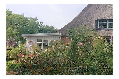 Huisje met rieten dak Noord-Friesland