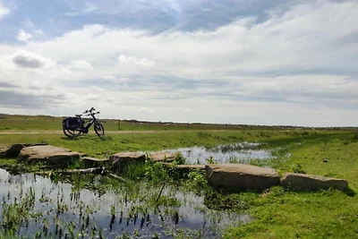 Casa vacanze indipendente situata a Texel